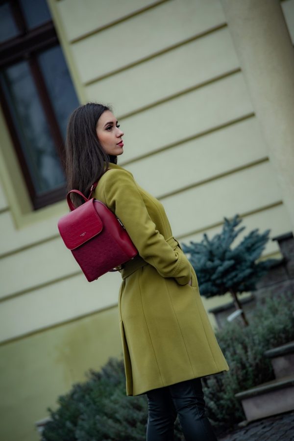 Rucsac Rosu Dama Piele Ecologica Inchidere cu Fermoar si Capsa Magnetica - David Jones BS6863RU2209132 119